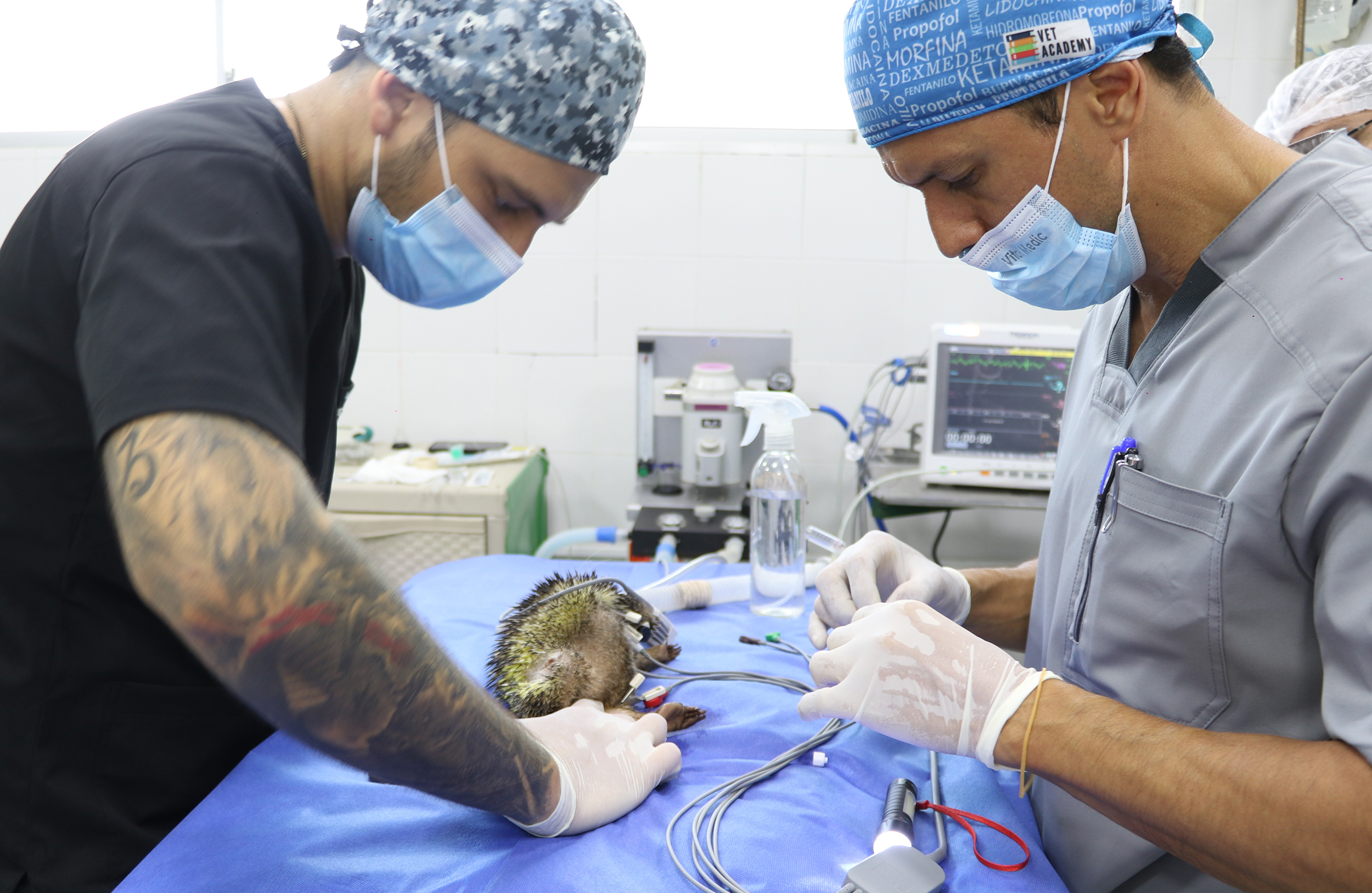 CDMB fortalece la atención de fauna silvestre con dotación médica y tecnológica en su CAV